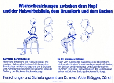 Brügger-Zahnradmodell (Schautafel)